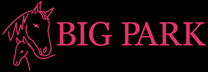 Big Park